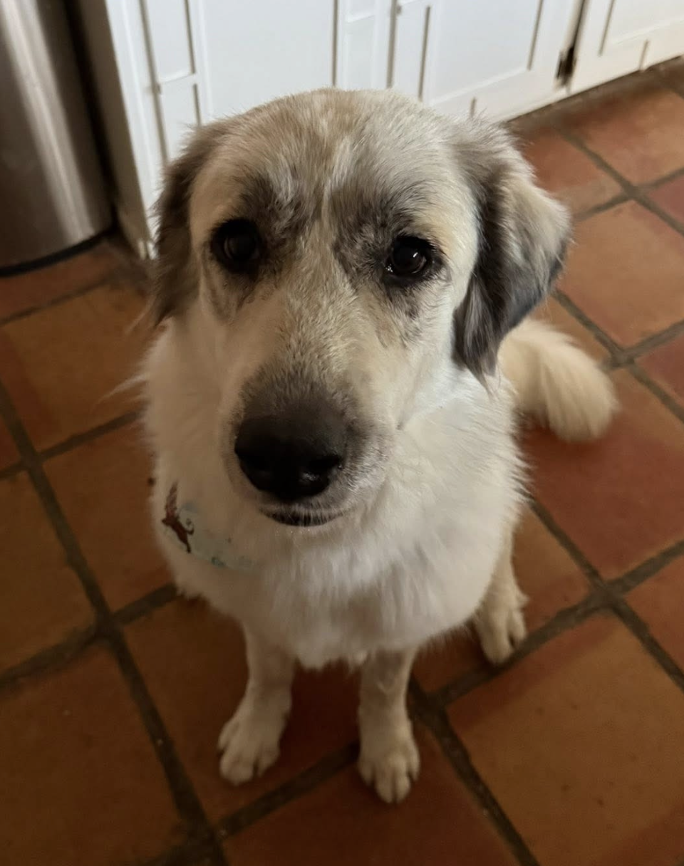 Juno